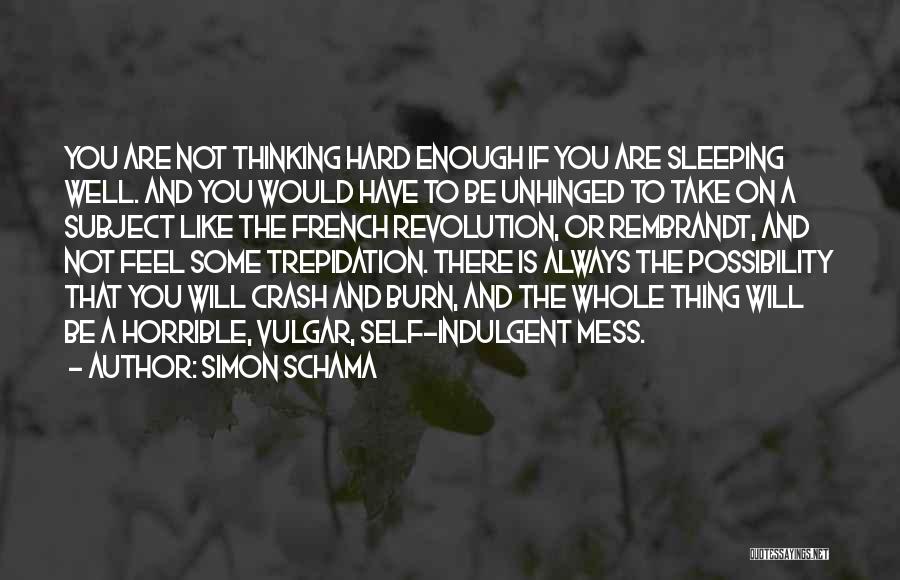 Simon Schama Quotes: You Are Not Thinking Hard Enough If You Are Sleeping Well. And You Would Have To Be Unhinged To Take
