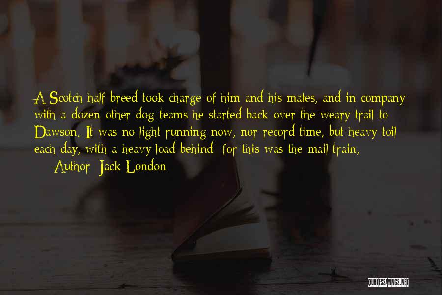 Jack London Quotes: A Scotch Half-breed Took Charge Of Him And His Mates, And In Company With A Dozen Other Dog-teams He Started