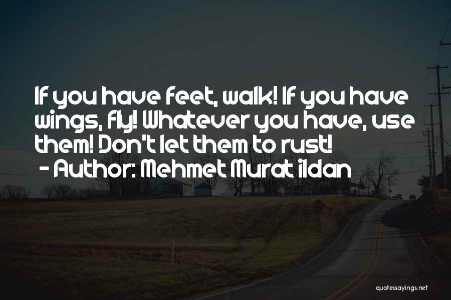 Mehmet Murat Ildan Quotes: If You Have Feet, Walk! If You Have Wings, Fly! Whatever You Have, Use Them! Don't Let Them To Rust!