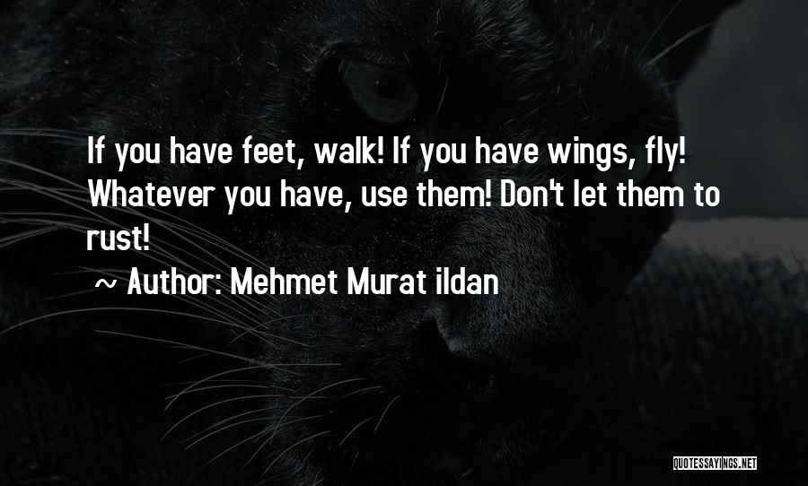 Mehmet Murat Ildan Quotes: If You Have Feet, Walk! If You Have Wings, Fly! Whatever You Have, Use Them! Don't Let Them To Rust!