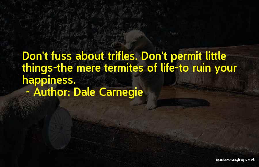 Dale Carnegie Quotes: Don't Fuss About Trifles. Don't Permit Little Things-the Mere Termites Of Life-to Ruin Your Happiness.