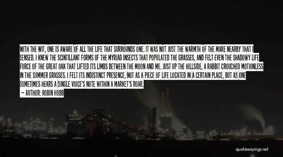 Robin Hobb Quotes: With The Wit, One Is Aware Of All The Life That Surrounds One. It Was Not Just The Warmth Of