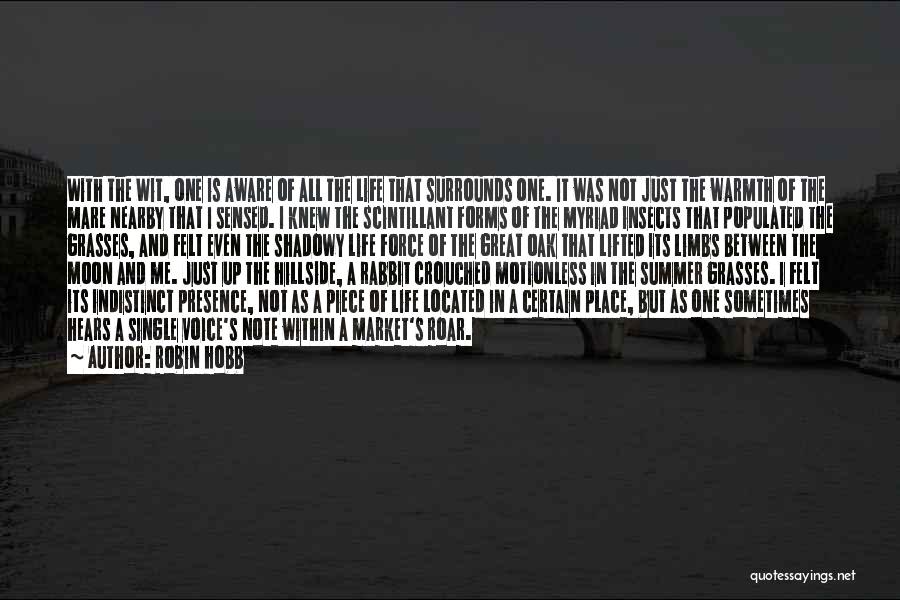 Robin Hobb Quotes: With The Wit, One Is Aware Of All The Life That Surrounds One. It Was Not Just The Warmth Of