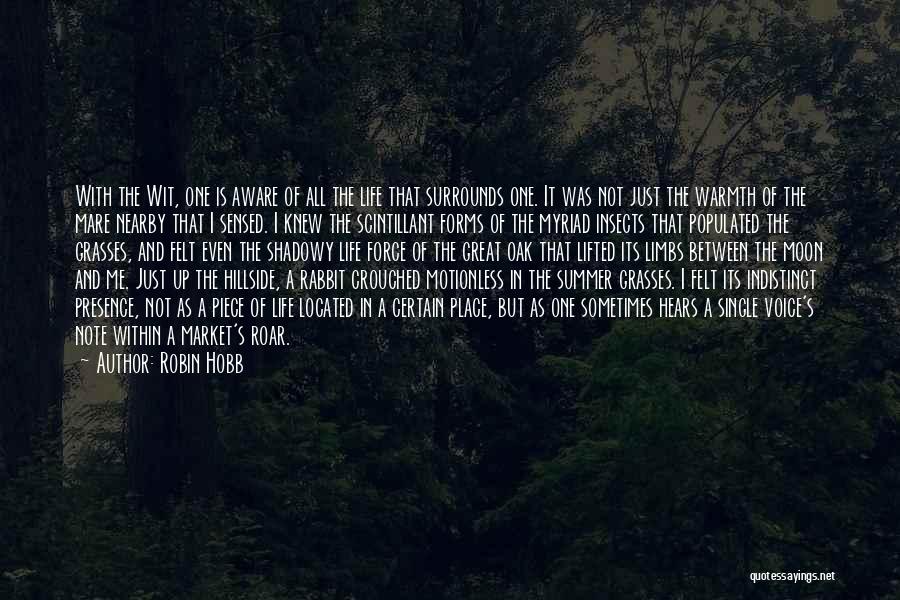 Robin Hobb Quotes: With The Wit, One Is Aware Of All The Life That Surrounds One. It Was Not Just The Warmth Of