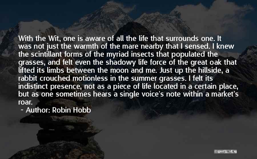 Robin Hobb Quotes: With The Wit, One Is Aware Of All The Life That Surrounds One. It Was Not Just The Warmth Of