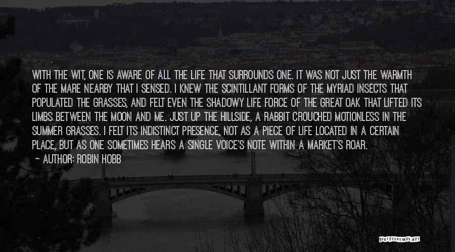 Robin Hobb Quotes: With The Wit, One Is Aware Of All The Life That Surrounds One. It Was Not Just The Warmth Of