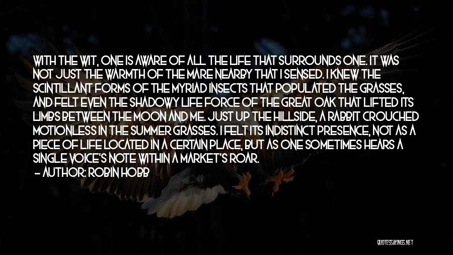 Robin Hobb Quotes: With The Wit, One Is Aware Of All The Life That Surrounds One. It Was Not Just The Warmth Of