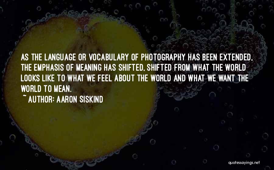 Aaron Siskind Quotes: As The Language Or Vocabulary Of Photography Has Been Extended, The Emphasis Of Meaning Has Shifted, Shifted From What The