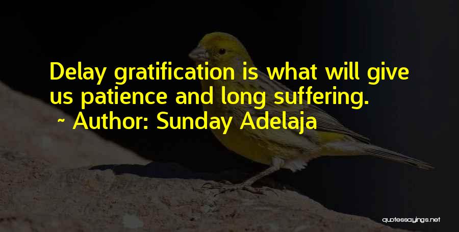 Sunday Adelaja Quotes: Delay Gratification Is What Will Give Us Patience And Long Suffering.