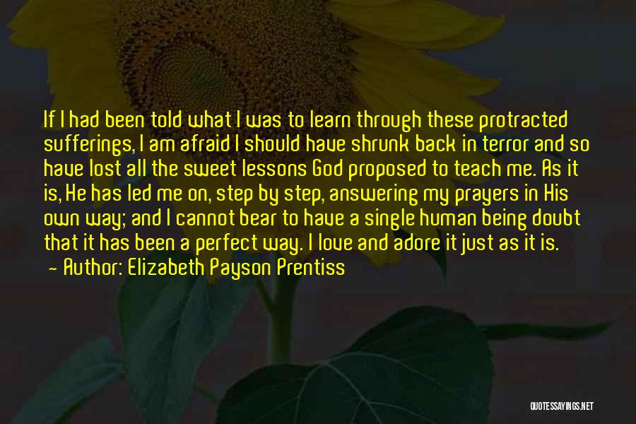 Elizabeth Payson Prentiss Quotes: If I Had Been Told What I Was To Learn Through These Protracted Sufferings, I Am Afraid I Should Have