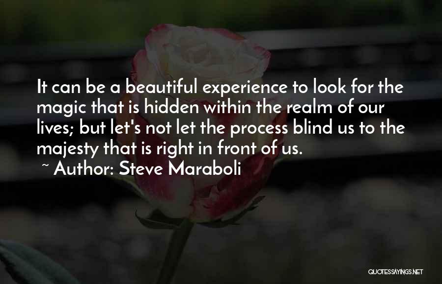 Steve Maraboli Quotes: It Can Be A Beautiful Experience To Look For The Magic That Is Hidden Within The Realm Of Our Lives;