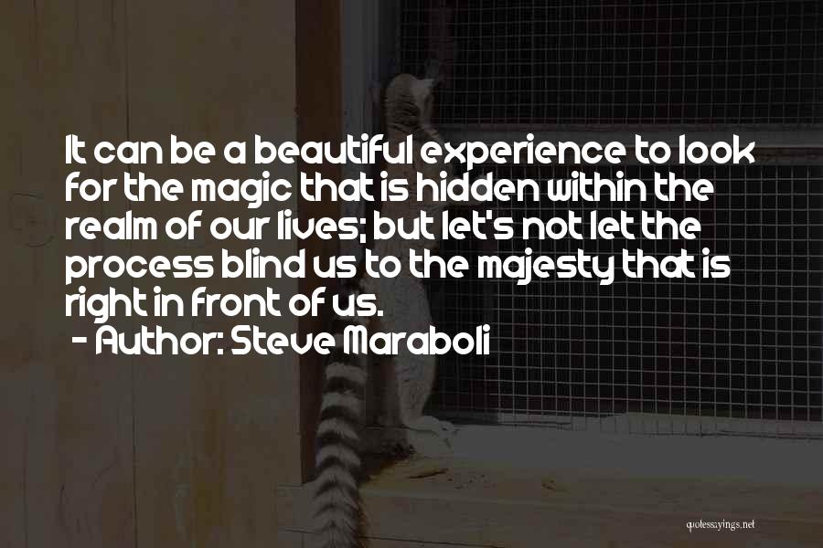 Steve Maraboli Quotes: It Can Be A Beautiful Experience To Look For The Magic That Is Hidden Within The Realm Of Our Lives;