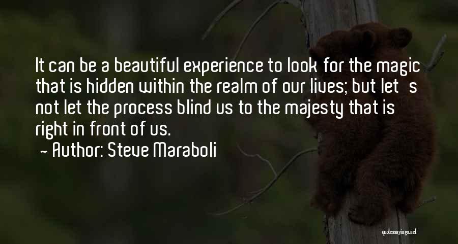 Steve Maraboli Quotes: It Can Be A Beautiful Experience To Look For The Magic That Is Hidden Within The Realm Of Our Lives;