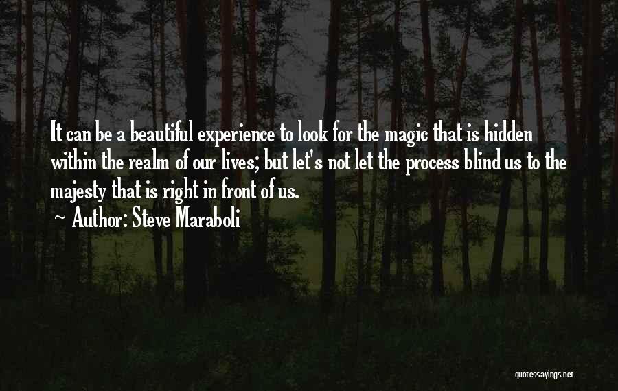 Steve Maraboli Quotes: It Can Be A Beautiful Experience To Look For The Magic That Is Hidden Within The Realm Of Our Lives;