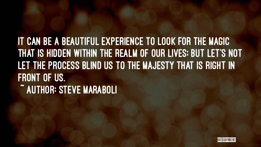 Steve Maraboli Quotes: It Can Be A Beautiful Experience To Look For The Magic That Is Hidden Within The Realm Of Our Lives;