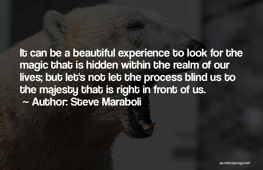 Steve Maraboli Quotes: It Can Be A Beautiful Experience To Look For The Magic That Is Hidden Within The Realm Of Our Lives;