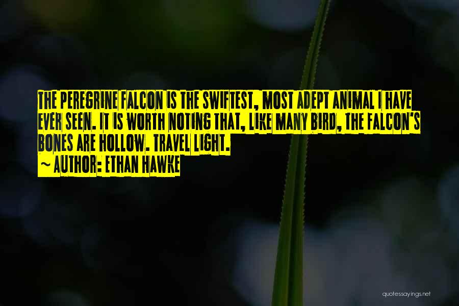 Ethan Hawke Quotes: The Peregrine Falcon Is The Swiftest, Most Adept Animal I Have Ever Seen. It Is Worth Noting That, Like Many