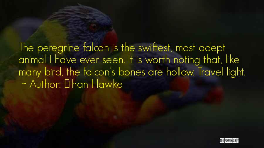 Ethan Hawke Quotes: The Peregrine Falcon Is The Swiftest, Most Adept Animal I Have Ever Seen. It Is Worth Noting That, Like Many
