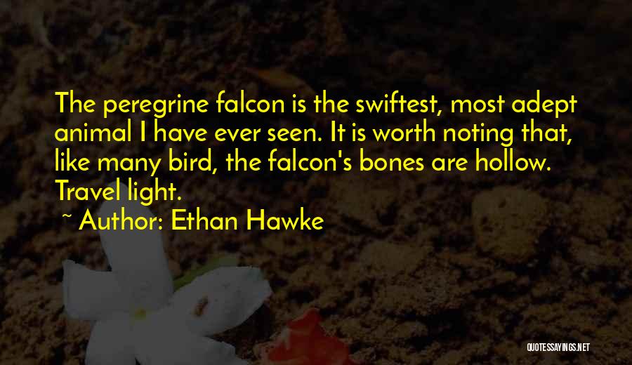 Ethan Hawke Quotes: The Peregrine Falcon Is The Swiftest, Most Adept Animal I Have Ever Seen. It Is Worth Noting That, Like Many