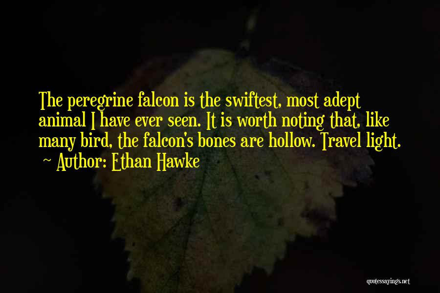 Ethan Hawke Quotes: The Peregrine Falcon Is The Swiftest, Most Adept Animal I Have Ever Seen. It Is Worth Noting That, Like Many