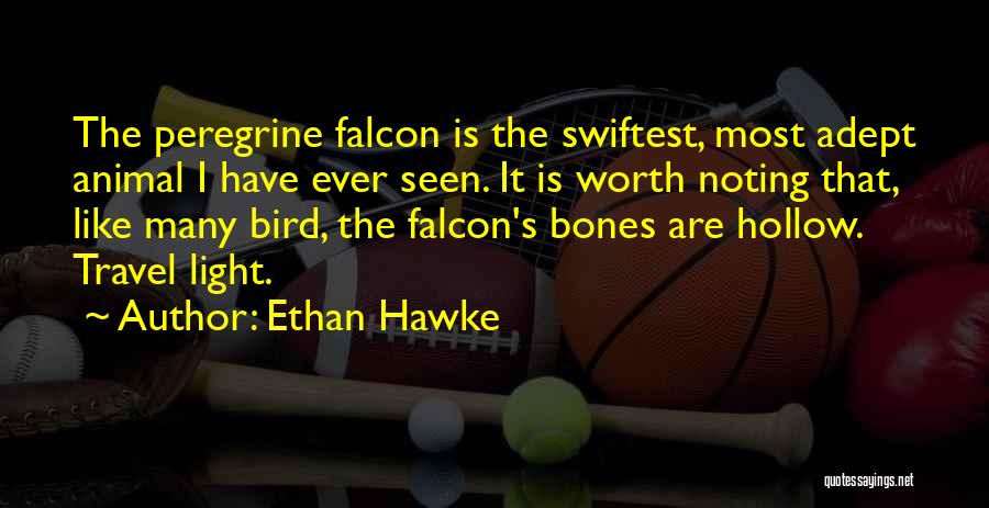 Ethan Hawke Quotes: The Peregrine Falcon Is The Swiftest, Most Adept Animal I Have Ever Seen. It Is Worth Noting That, Like Many