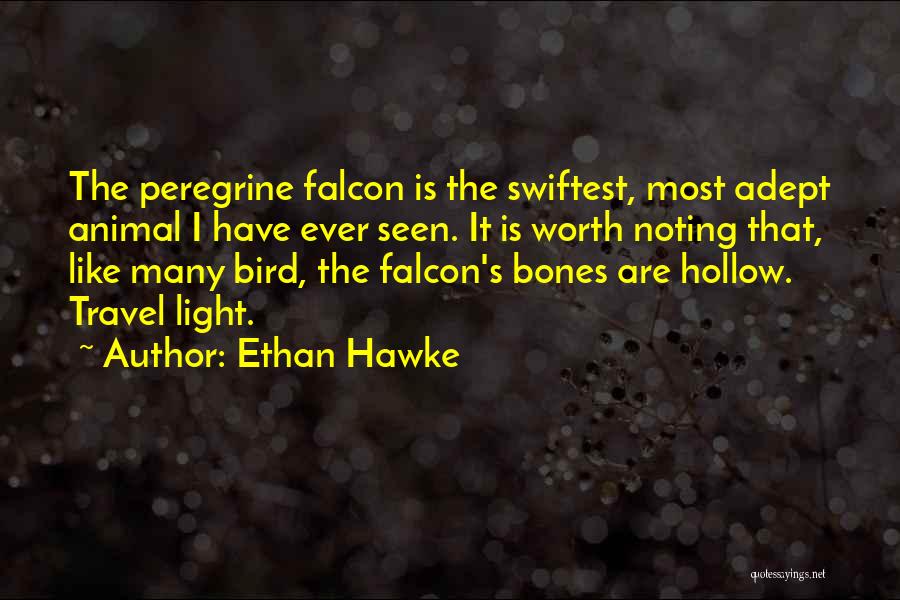 Ethan Hawke Quotes: The Peregrine Falcon Is The Swiftest, Most Adept Animal I Have Ever Seen. It Is Worth Noting That, Like Many