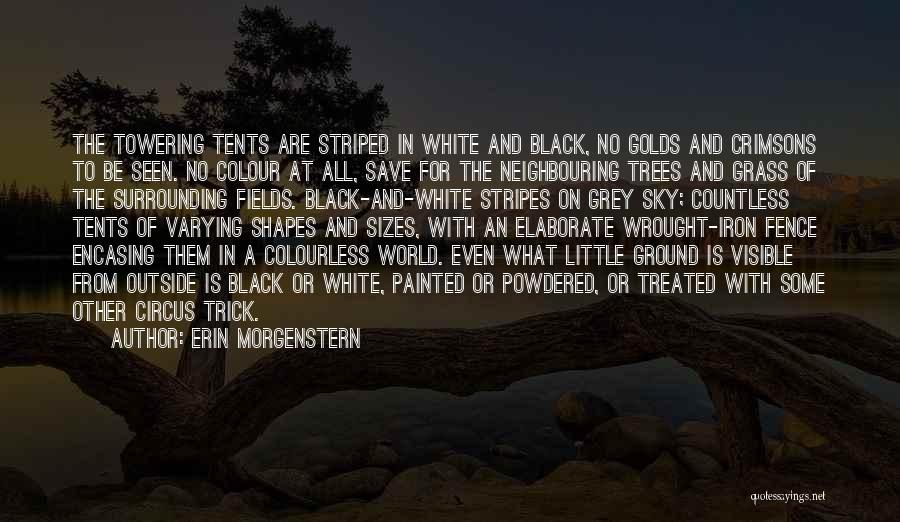 Erin Morgenstern Quotes: The Towering Tents Are Striped In White And Black, No Golds And Crimsons To Be Seen. No Colour At All,