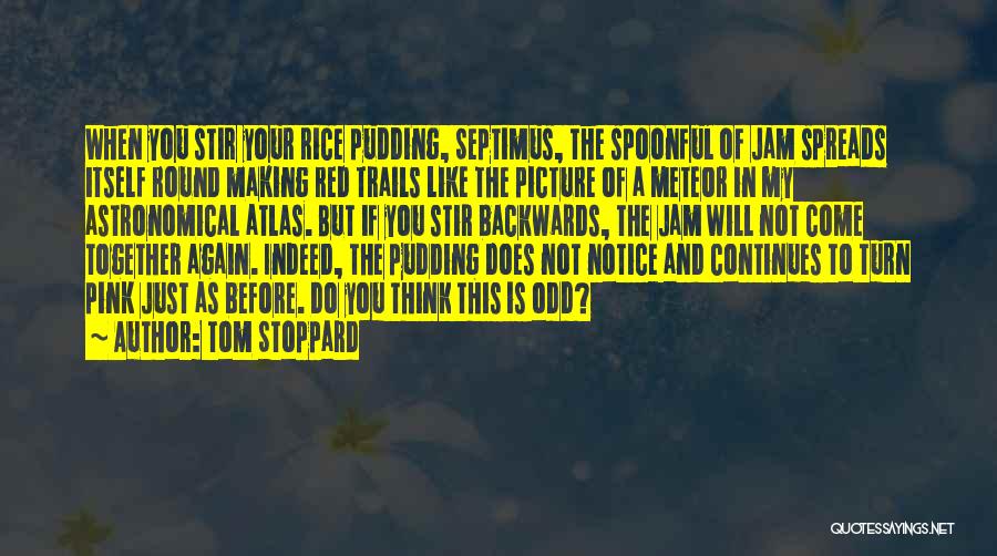 Tom Stoppard Quotes: When You Stir Your Rice Pudding, Septimus, The Spoonful Of Jam Spreads Itself Round Making Red Trails Like The Picture