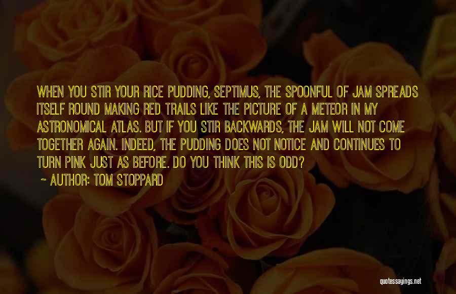 Tom Stoppard Quotes: When You Stir Your Rice Pudding, Septimus, The Spoonful Of Jam Spreads Itself Round Making Red Trails Like The Picture