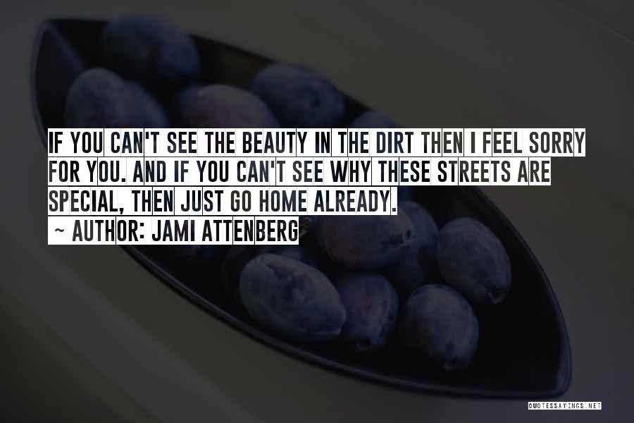 Jami Attenberg Quotes: If You Can't See The Beauty In The Dirt Then I Feel Sorry For You. And If You Can't See