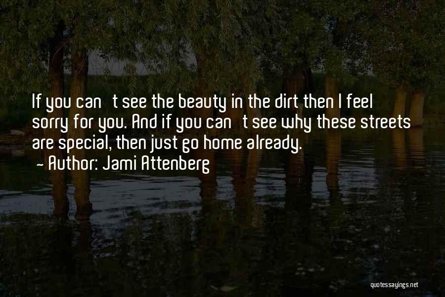 Jami Attenberg Quotes: If You Can't See The Beauty In The Dirt Then I Feel Sorry For You. And If You Can't See