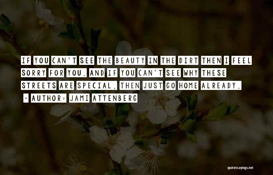 Jami Attenberg Quotes: If You Can't See The Beauty In The Dirt Then I Feel Sorry For You. And If You Can't See