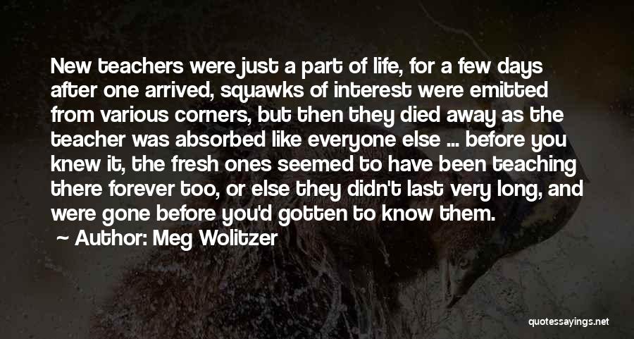 Meg Wolitzer Quotes: New Teachers Were Just A Part Of Life, For A Few Days After One Arrived, Squawks Of Interest Were Emitted