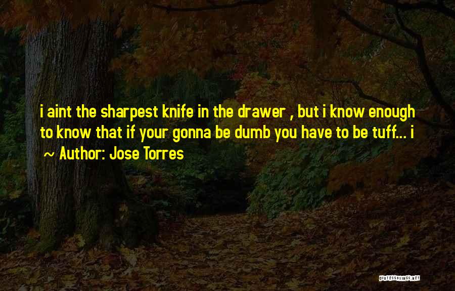 Jose Torres Quotes: I Aint The Sharpest Knife In The Drawer , But I Know Enough To Know That If Your Gonna Be