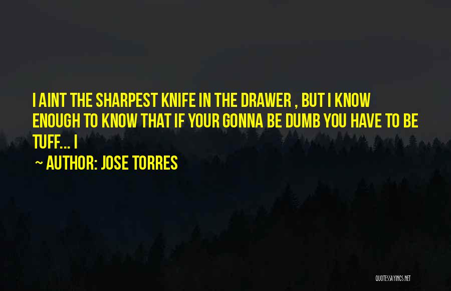 Jose Torres Quotes: I Aint The Sharpest Knife In The Drawer , But I Know Enough To Know That If Your Gonna Be