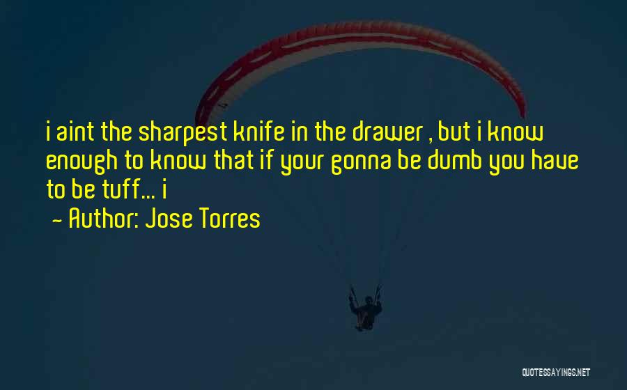 Jose Torres Quotes: I Aint The Sharpest Knife In The Drawer , But I Know Enough To Know That If Your Gonna Be