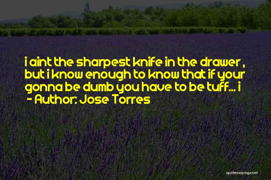 Jose Torres Quotes: I Aint The Sharpest Knife In The Drawer , But I Know Enough To Know That If Your Gonna Be