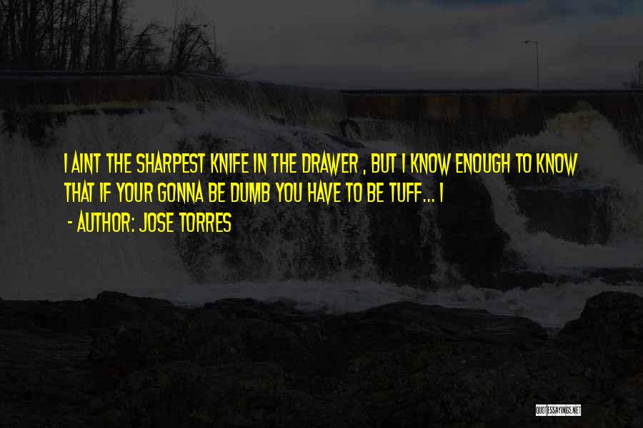 Jose Torres Quotes: I Aint The Sharpest Knife In The Drawer , But I Know Enough To Know That If Your Gonna Be