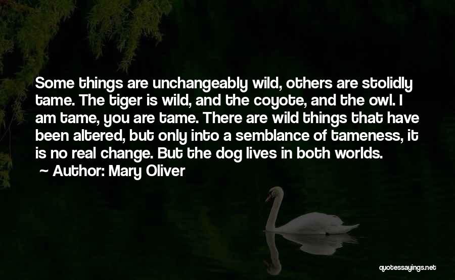 Mary Oliver Quotes: Some Things Are Unchangeably Wild, Others Are Stolidly Tame. The Tiger Is Wild, And The Coyote, And The Owl. I