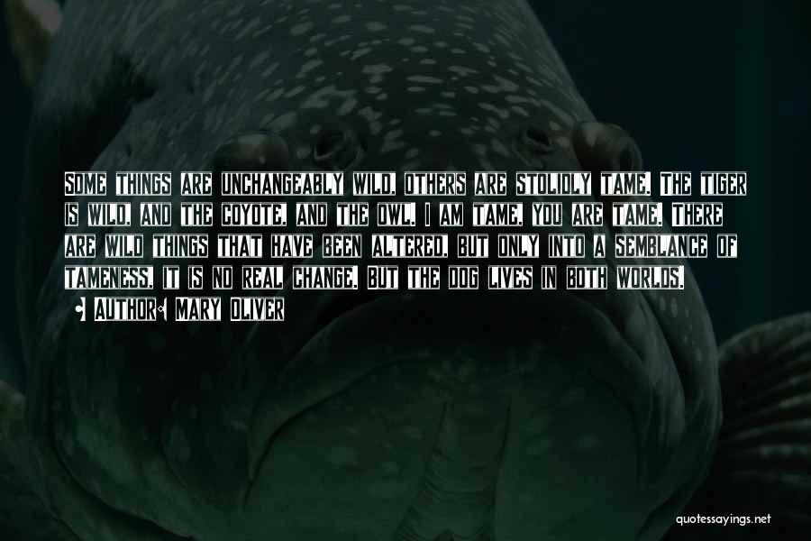 Mary Oliver Quotes: Some Things Are Unchangeably Wild, Others Are Stolidly Tame. The Tiger Is Wild, And The Coyote, And The Owl. I