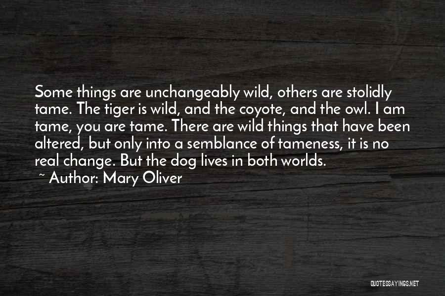 Mary Oliver Quotes: Some Things Are Unchangeably Wild, Others Are Stolidly Tame. The Tiger Is Wild, And The Coyote, And The Owl. I