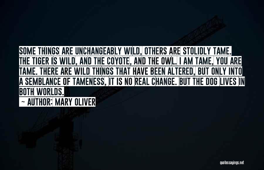 Mary Oliver Quotes: Some Things Are Unchangeably Wild, Others Are Stolidly Tame. The Tiger Is Wild, And The Coyote, And The Owl. I