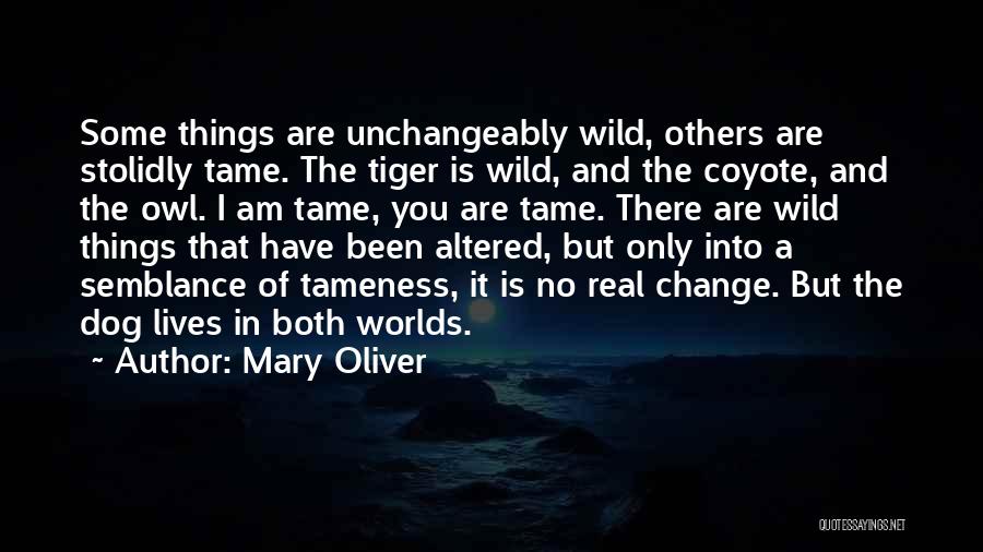 Mary Oliver Quotes: Some Things Are Unchangeably Wild, Others Are Stolidly Tame. The Tiger Is Wild, And The Coyote, And The Owl. I