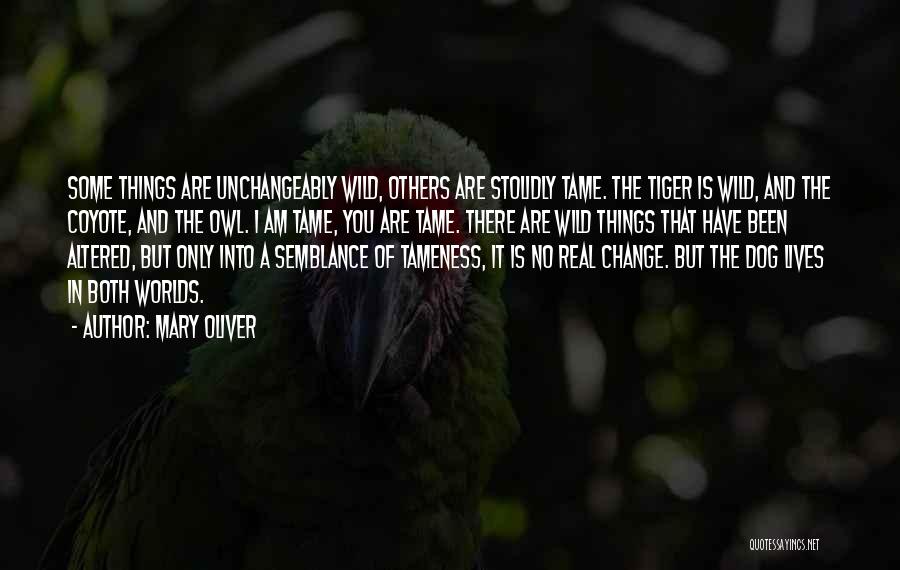 Mary Oliver Quotes: Some Things Are Unchangeably Wild, Others Are Stolidly Tame. The Tiger Is Wild, And The Coyote, And The Owl. I