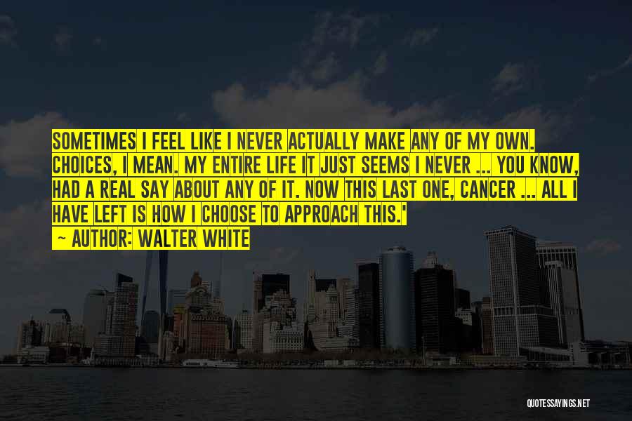 Walter White Quotes: Sometimes I Feel Like I Never Actually Make Any Of My Own. Choices, I Mean. My Entire Life It Just