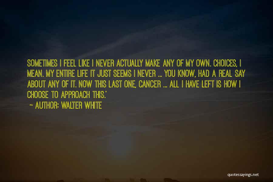 Walter White Quotes: Sometimes I Feel Like I Never Actually Make Any Of My Own. Choices, I Mean. My Entire Life It Just