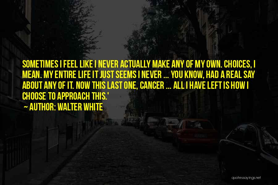 Walter White Quotes: Sometimes I Feel Like I Never Actually Make Any Of My Own. Choices, I Mean. My Entire Life It Just