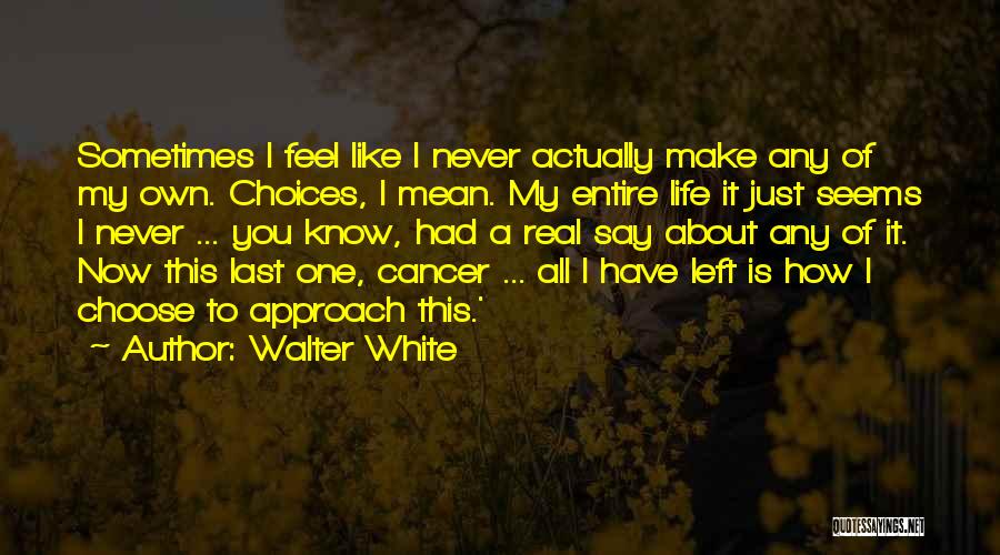 Walter White Quotes: Sometimes I Feel Like I Never Actually Make Any Of My Own. Choices, I Mean. My Entire Life It Just