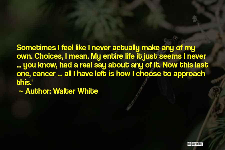 Walter White Quotes: Sometimes I Feel Like I Never Actually Make Any Of My Own. Choices, I Mean. My Entire Life It Just