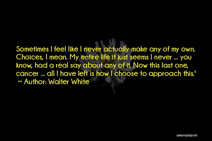 Walter White Quotes: Sometimes I Feel Like I Never Actually Make Any Of My Own. Choices, I Mean. My Entire Life It Just